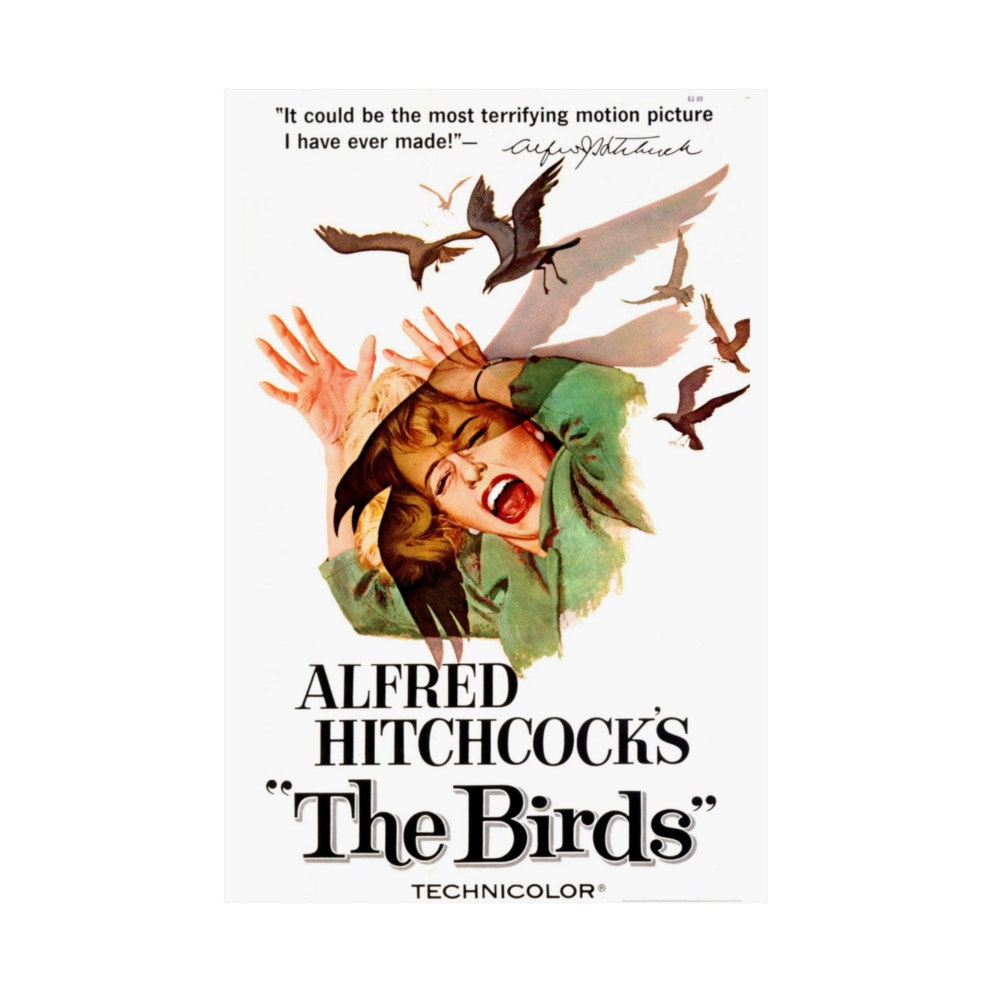 The Birds Poster
