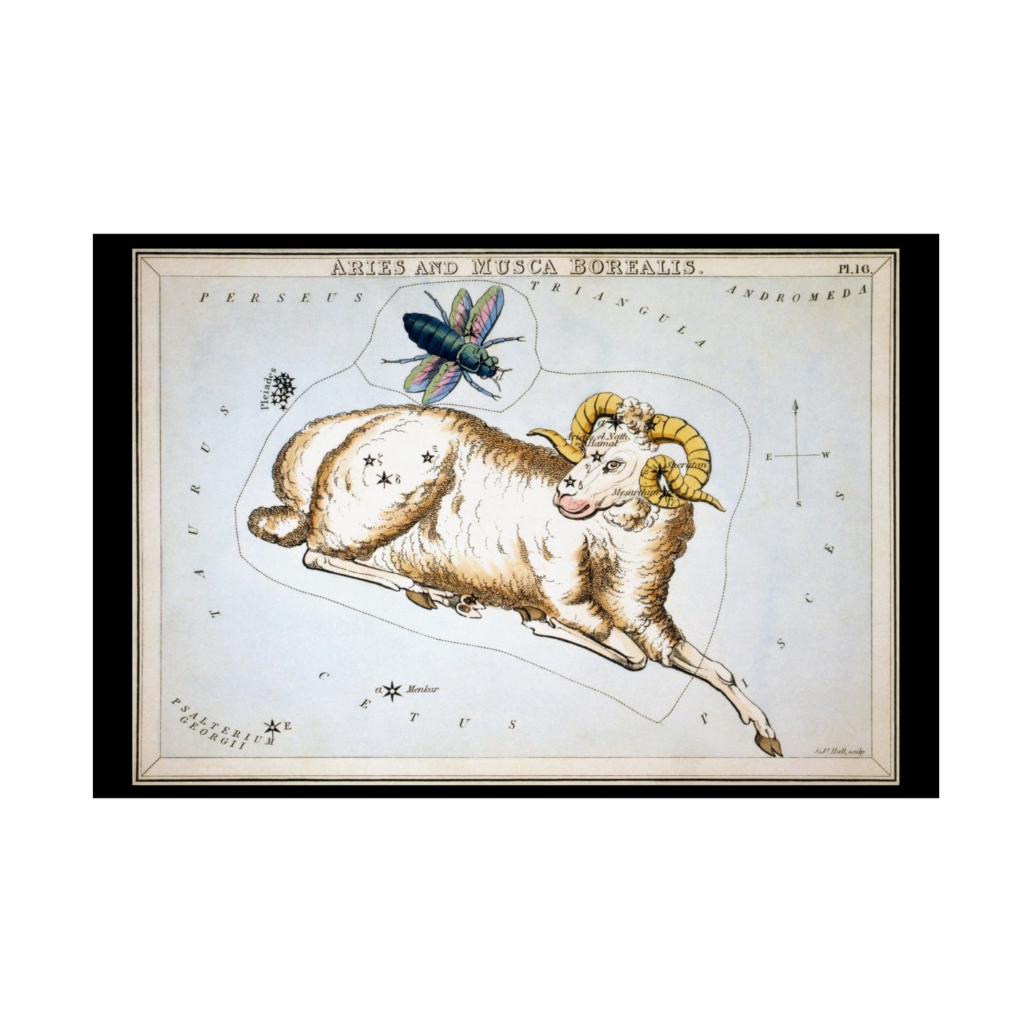 Aries Poster