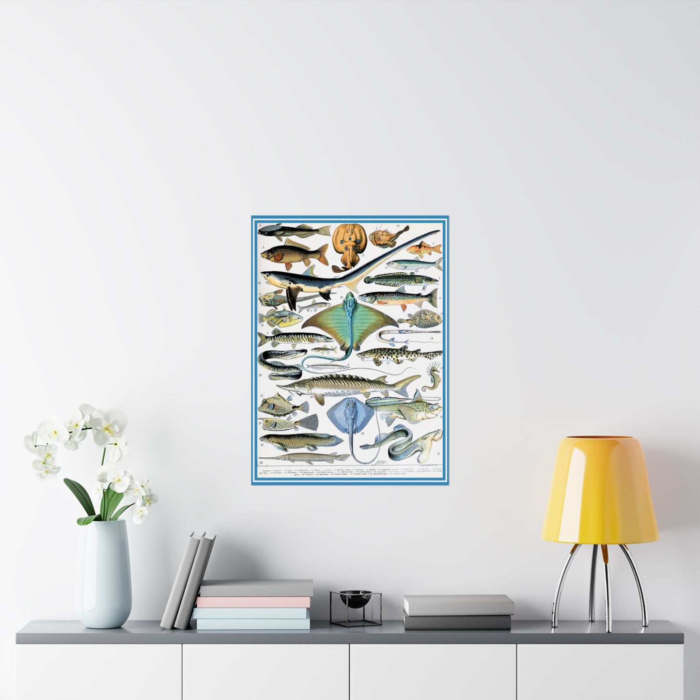 Aquatic Life Poster
