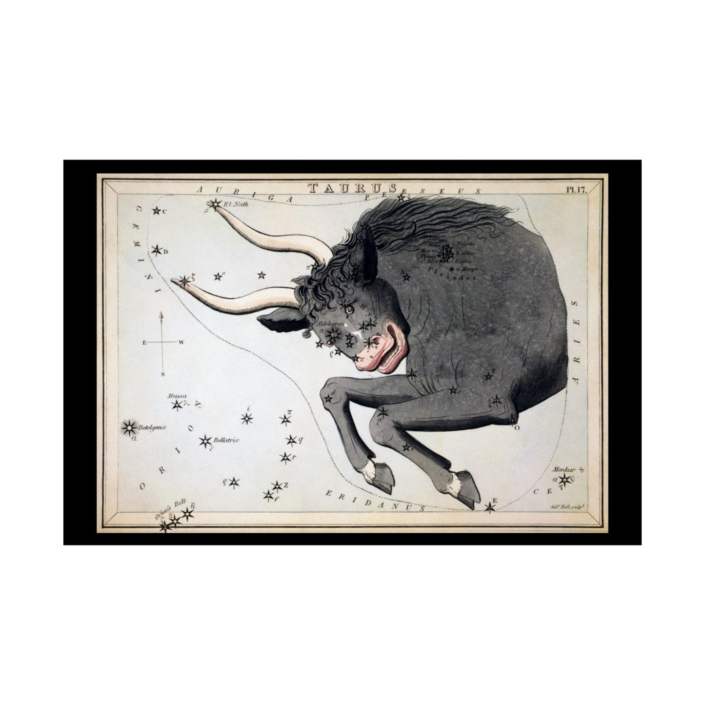 Taurus Posters