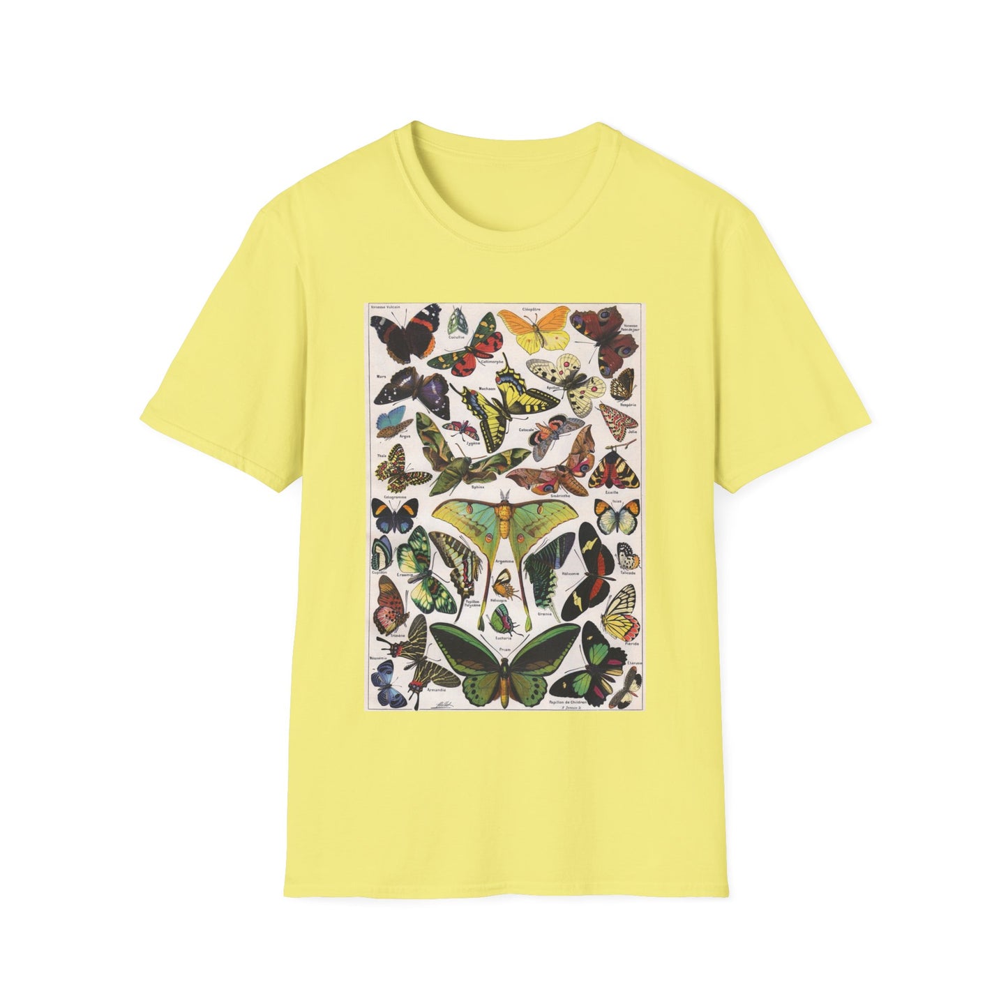 Butterflies T-Shirt